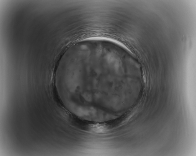 X0000088690511200705311159