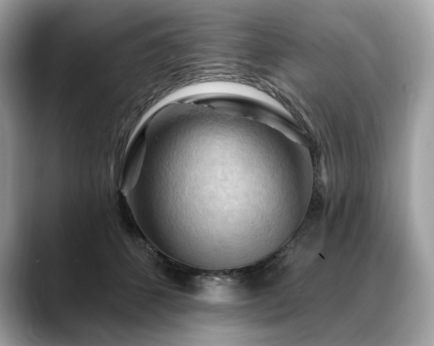 X0000088690512200705311159