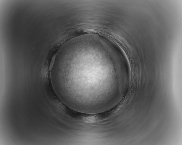 X0000088690513200705311159