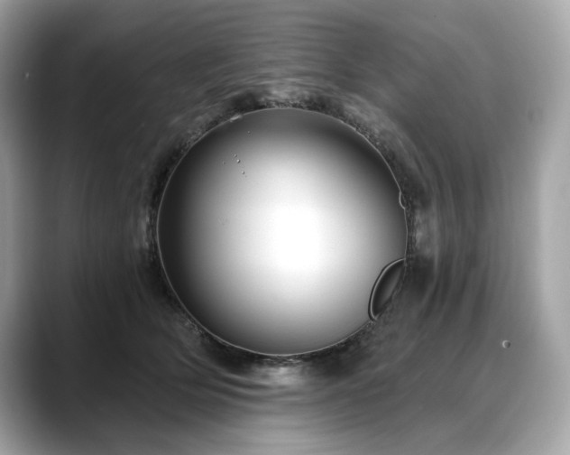 X0000088690514200705311159