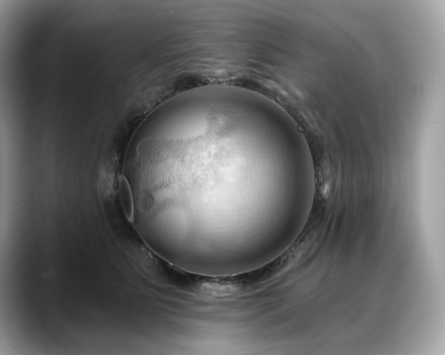 X0000088690515200705311159