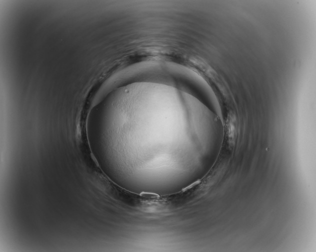 X0000088690516200705311159