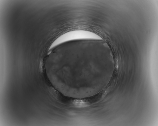 X0000088690519200705311159