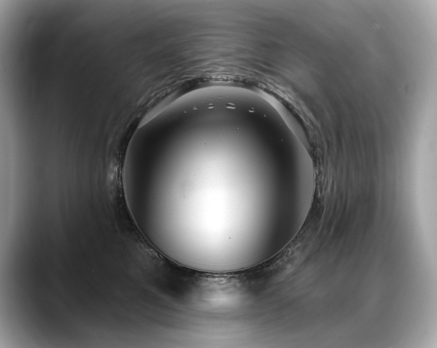 X0000088690521200705311159