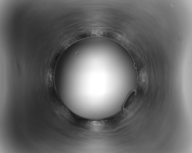 X0000088690522200705311159