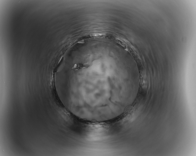 X0000088690523200705311159