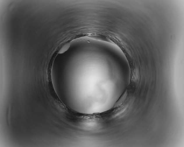 X0000088690524200705311159