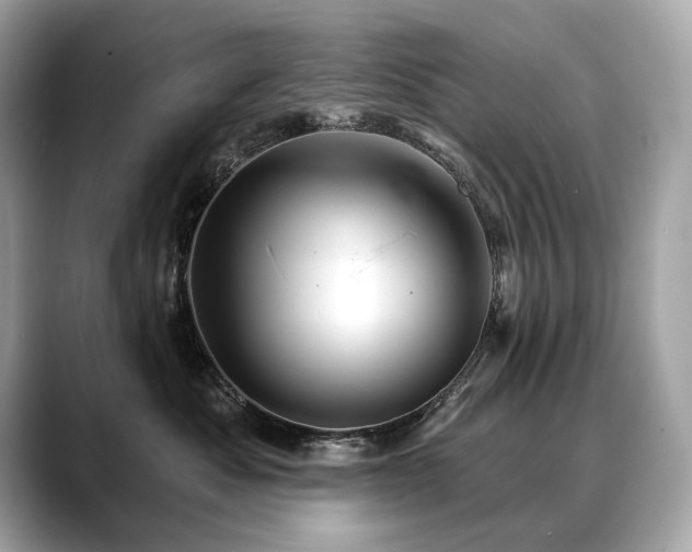 X0000088690525200705311159