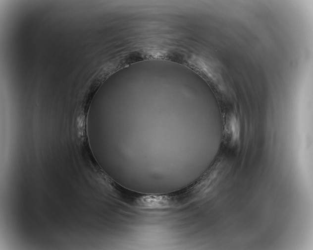 X0000088690526200705311159