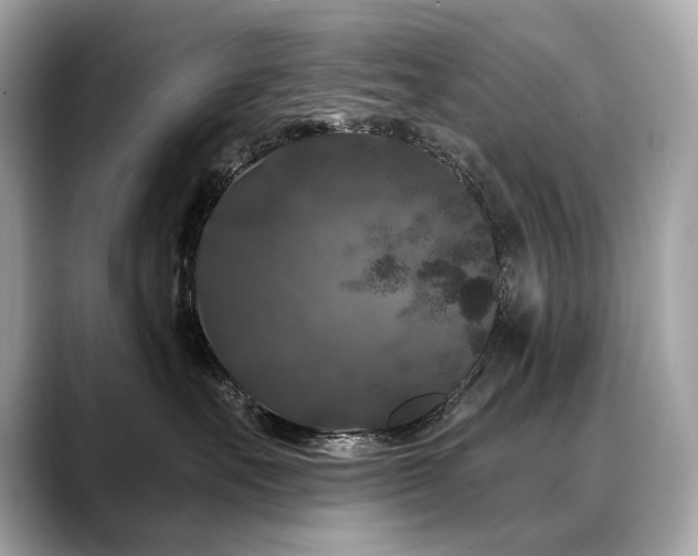 X0000088690527200705311159