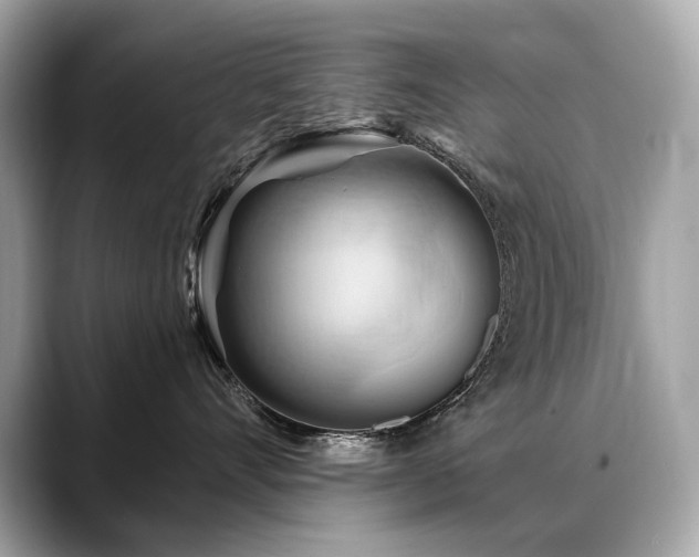 X0000088690528200705311159