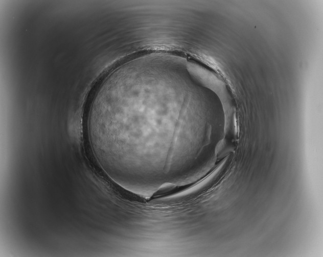 X0000088690531200705311158