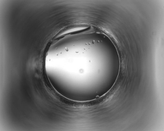 X0000088690533200705311158