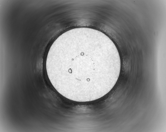 X0000088690534200705311158