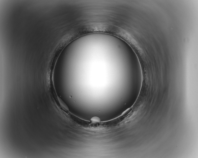 X0000088690537200705311158