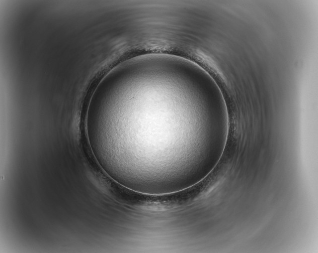 X0000088690538200705311158