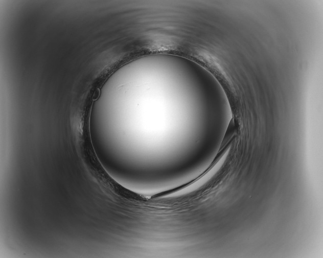 X0000088690539200705311158