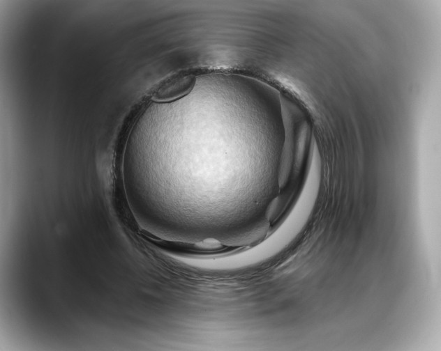 X0000088690540200705311158