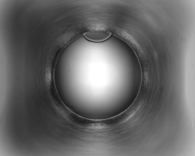 X0000088690541200705311158