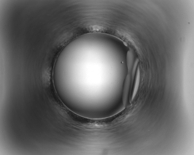 X0000088690545200705311158