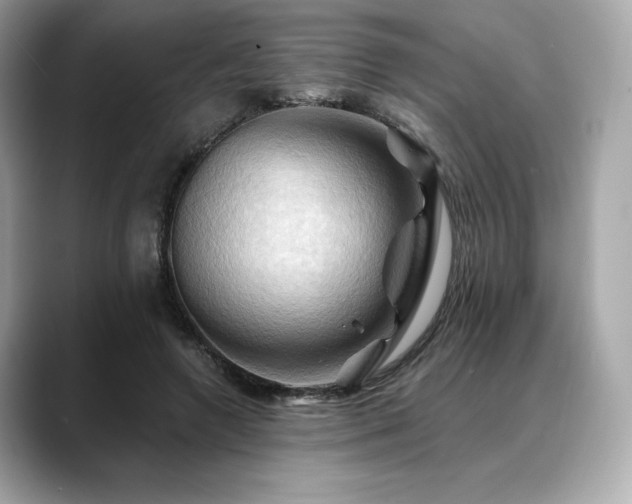 X0000088690546200705311158
