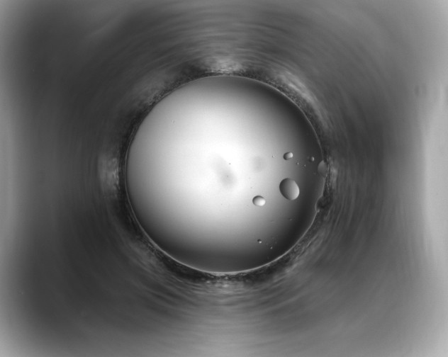 X0000088690549200705311158