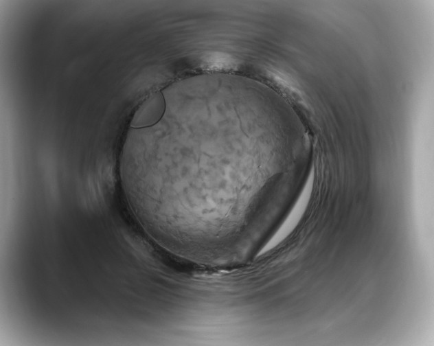 X0000088690550200705311158