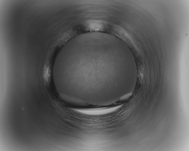 X0000088690551200705311158