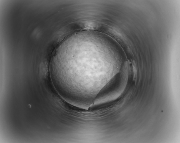X0000088690554200705311158