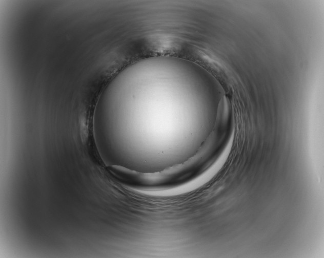 X0000088690558200705311158