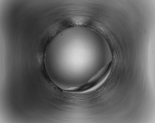 X0000088690559200705311158