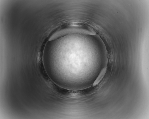 X0000088690560200705311158