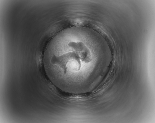 X0000088690561200705311158