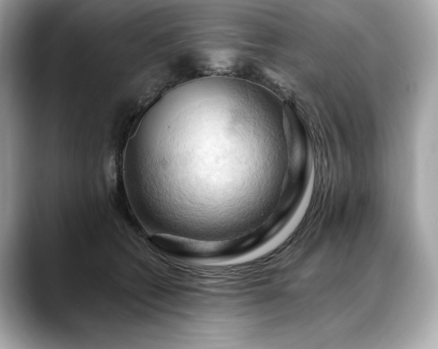 X0000088690562200705311158