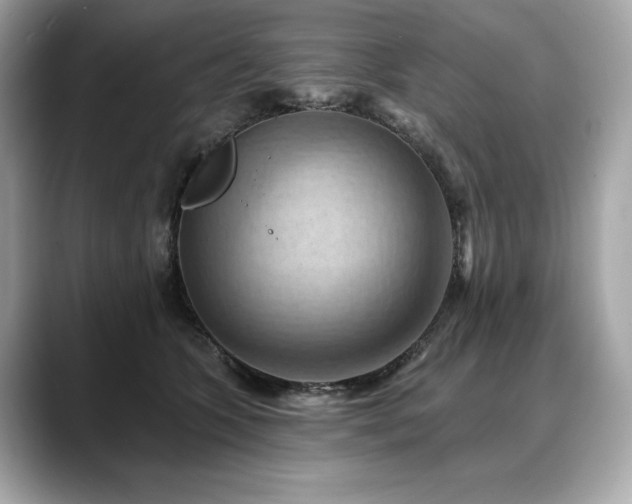 X0000088690563200705311158