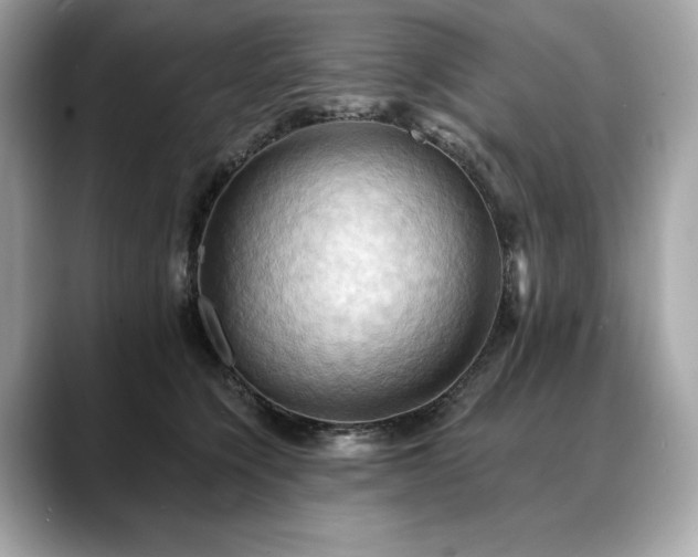 X0000088690564200705311158