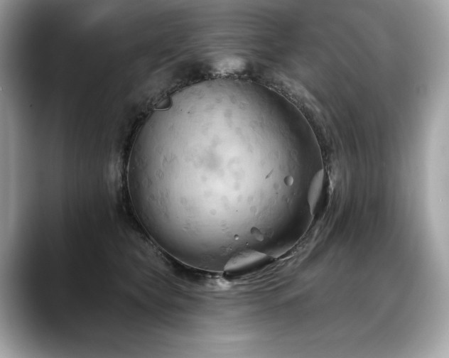 X0000088690565200705311159