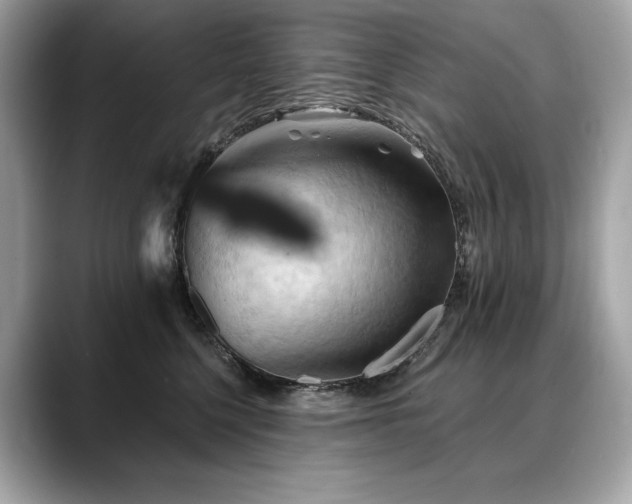 X0000088690568200705311159