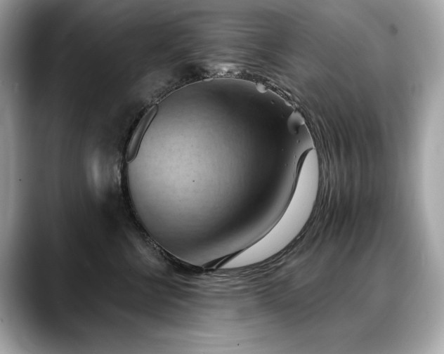 X0000088690570200705311159