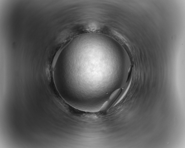 X0000088690572200705311159