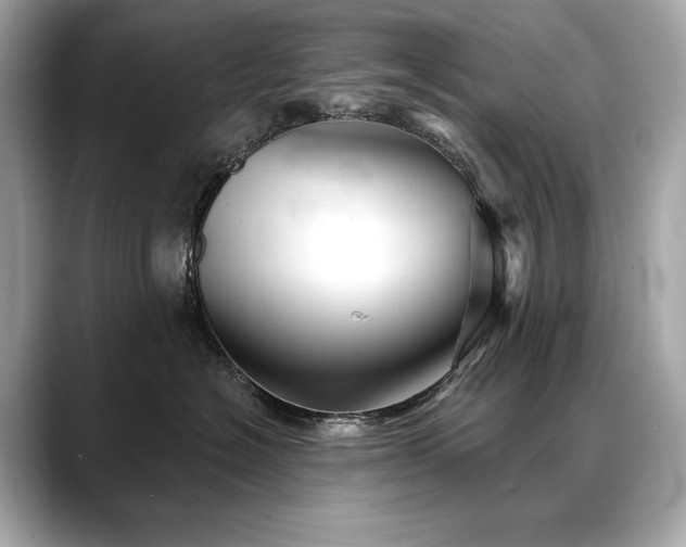 X0000088690574200705311159