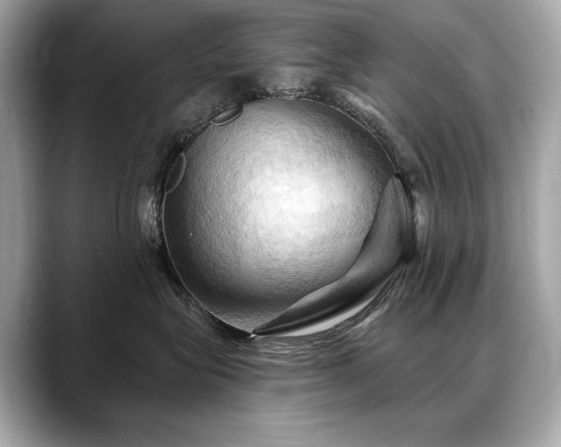 X0000088690575200705311159