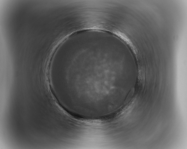 X0000088690577200705311158