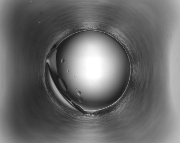 X0000088690578200705311158