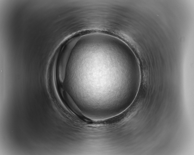X0000088690580200705311158