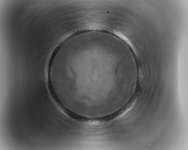 X0000088690581200705311158