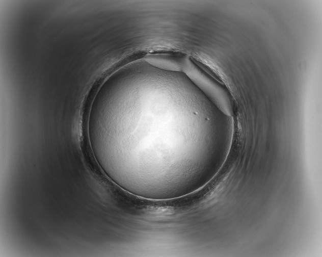 X0000088690582200705311158
