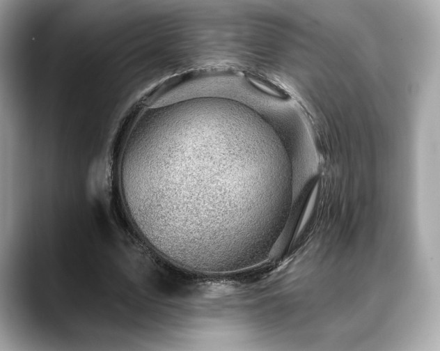 X0000088690583200705311158