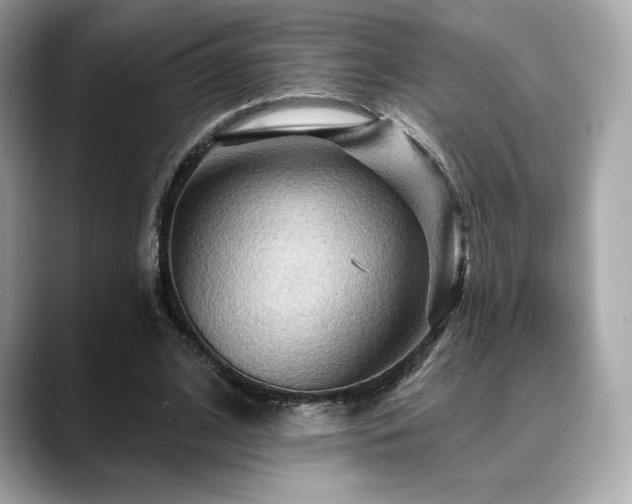 X0000088690584200705311158