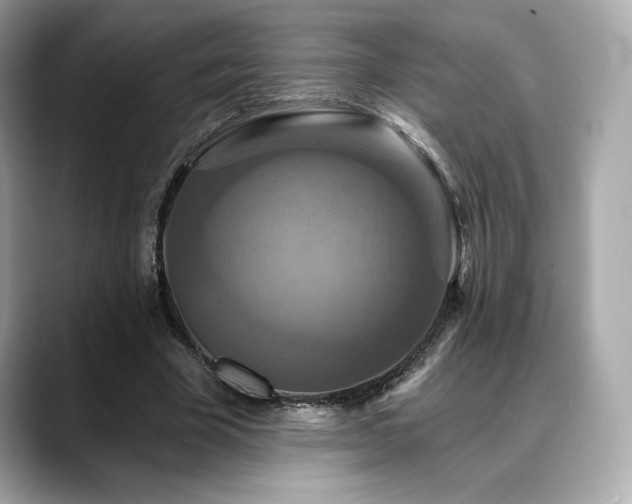 X0000088690585200705311158